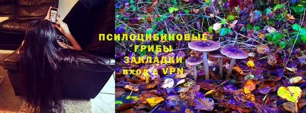 шишки Нефтекумск