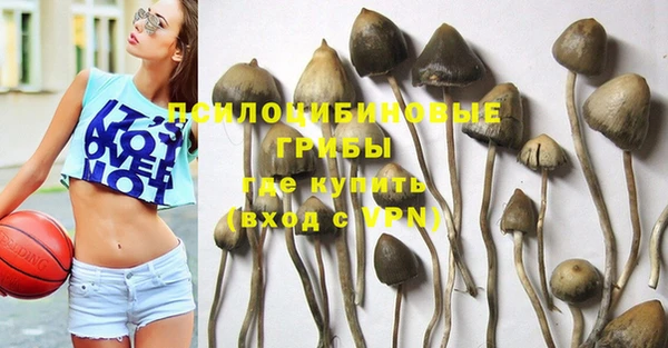 дурь Аксай