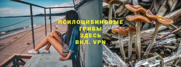 трава Нея