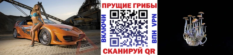 Галлюциногенные грибы Cubensis  МЕГА рабочий сайт  Таштагол 